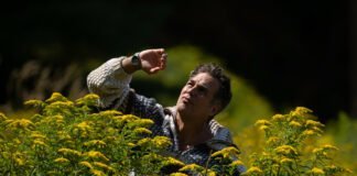 Mark Ruffalo Flaunt Magazine 07